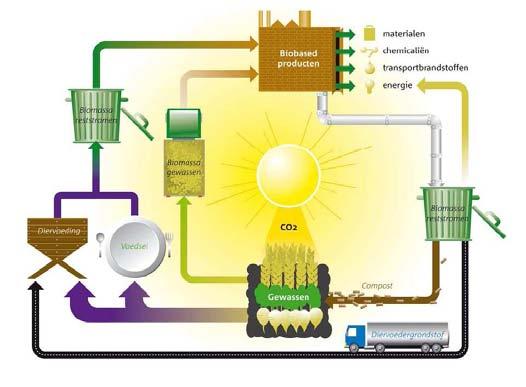 Dutch Government vision Biobased Economy Biorefinery Efficient use of Biomass Polymers