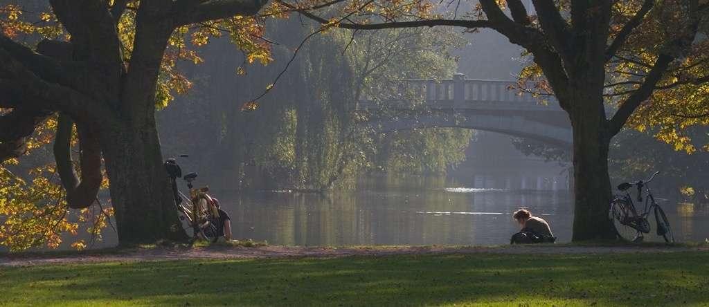 LUNCHEN IN DE ACHTERTUIN VAN AMSTERDAM Wat is er nou fijner om bij mooi weer te pauzeren en te lunchen in het Vondelpark?
