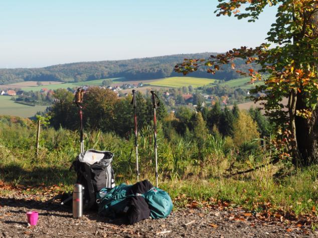 Het asfalt wordt ook al snel weer verlaten bij de volgende splitsing waarop de Wittekindsweg linksaf is aangegeven. Deze zandweg gaat licht omhoog het bos in.