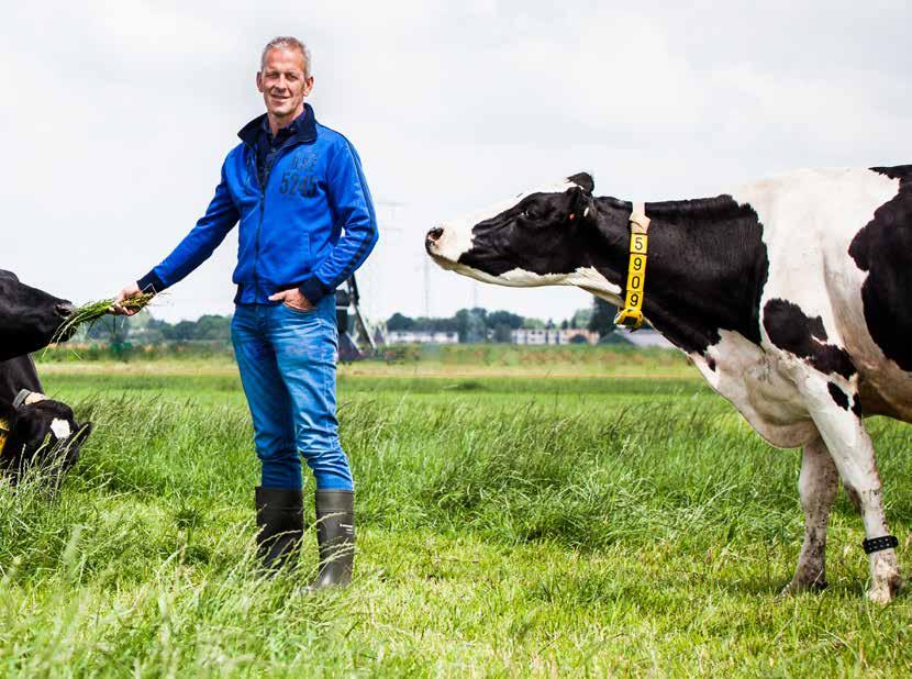 Koe, voer, bodem en mest Het domein van de rundveehouder is in de eerste plaats de stal. Het vee wordt nauwlettend en gedetailleerd gevolgd. Vaak is de aandacht voor de grond een stuk minder.