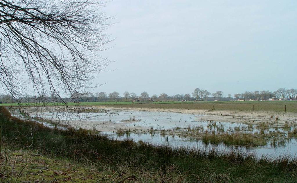 Stikstofdepositie op Habitattypen binnen Drentse Natura 2000-gebieden Onderbouwing