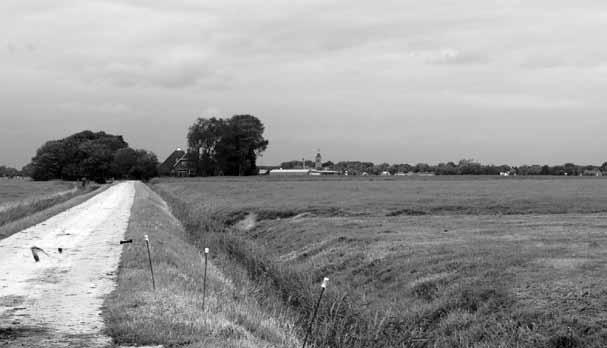 P. 340 Het platteland van Noord-Groningen (foto's: Korrie Melis) Uitzicht op Stitswerd Participatie als oplossing voor krimp Korrie Melis Noord-Groningen is