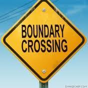 Onderzoeksvraag Welke veranderingen in professioneel functioneren maken boundary crossers door in
