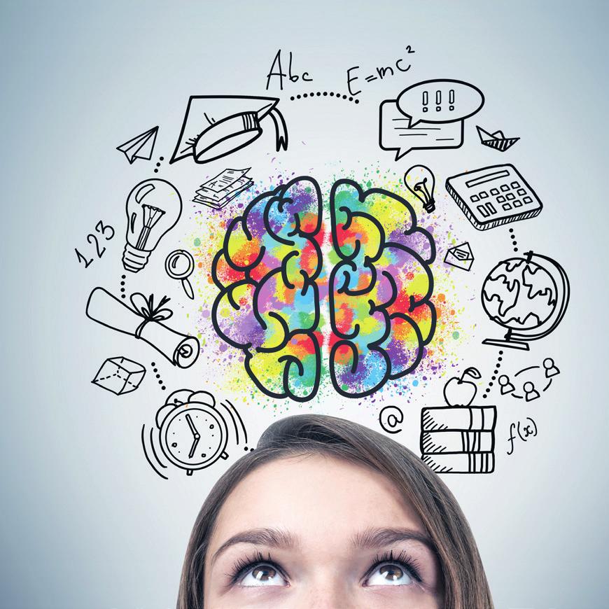 Over ontwikkeling van het adolescente brein en gedrag Brein