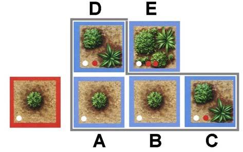 Omdat tegel C en E dus ook grenzen aan tegels die worden aangevallen, kan de aanvaller ook deze tegels aanvallen. In ons voorbeeld besluit de rode speler om de tegels A, B, C en D aan te vallen.