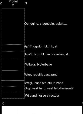 Dezeoudeploeglaagisnaarondertoesterkgebioturbeerd,waardoorertotongeveer1,3monder het huidige maaiveld afgegraven moet worden om het archeologische vlak te bereiken.