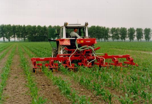 bladrammenas vrij vorstgevoelig. Italiaans raaigras en mengsels van Italiaans raaigras en rogge dienen voor begin oktober te zijn gezaaid.