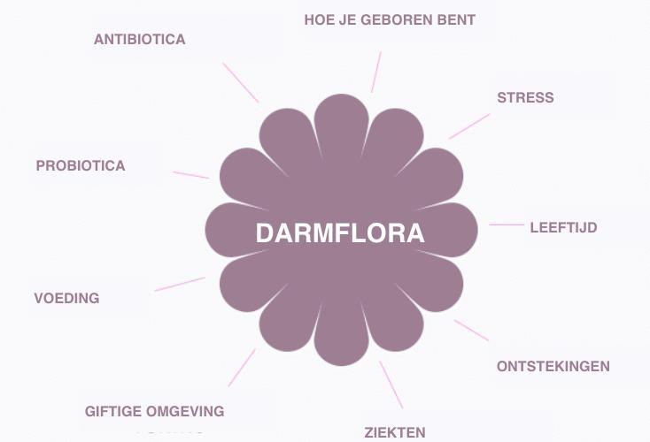 + DARMFLORA definitie