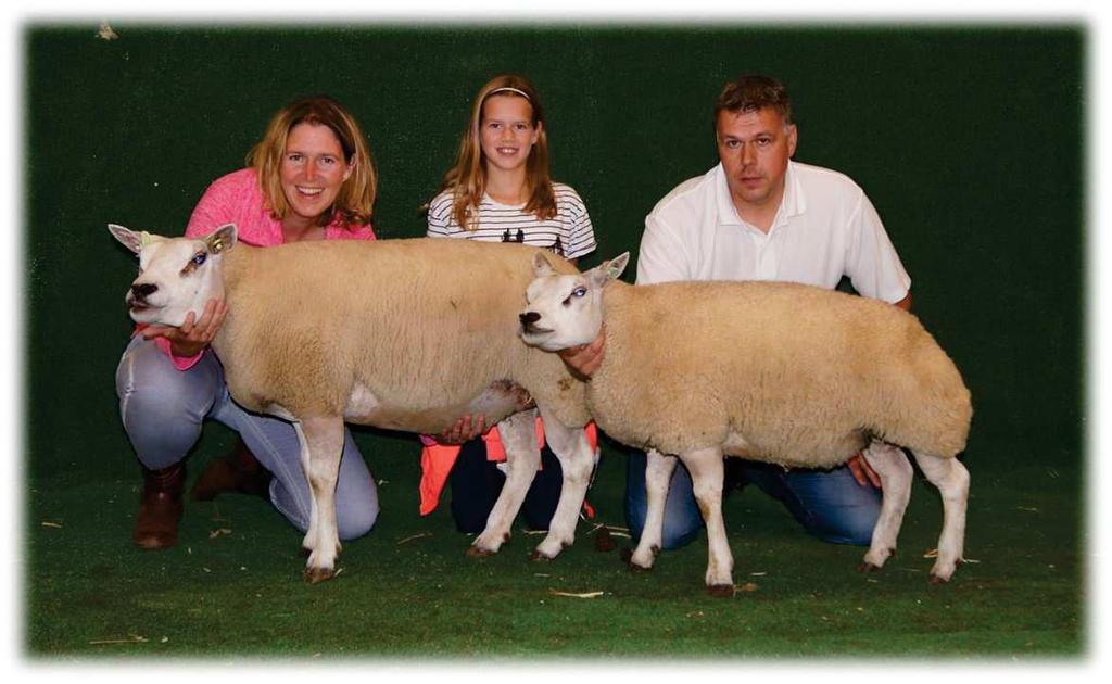 De stellen. In de stelletjes zat dit jaar nogal wat variatie qua ras en bespiering. Bij de eenjarige ooien met lam(meren) waren er 1a premies voor R. Olde Veldhuis-Wetsteen.
