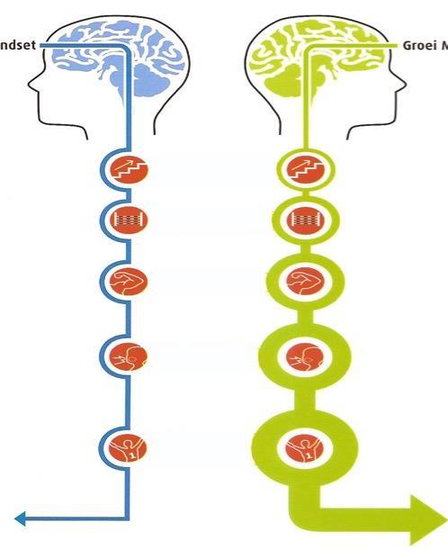 uitdaging fouten Heeft controle op resultaat Is minder creatief Ervaart meer stress verandering kritiek succes van anderen Haalt meer uit potentieel