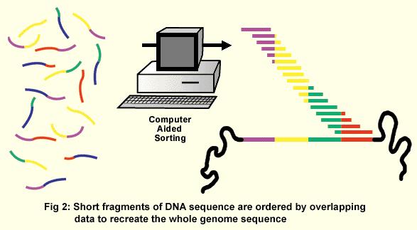 Whole Genome Sequencing 38 RAC