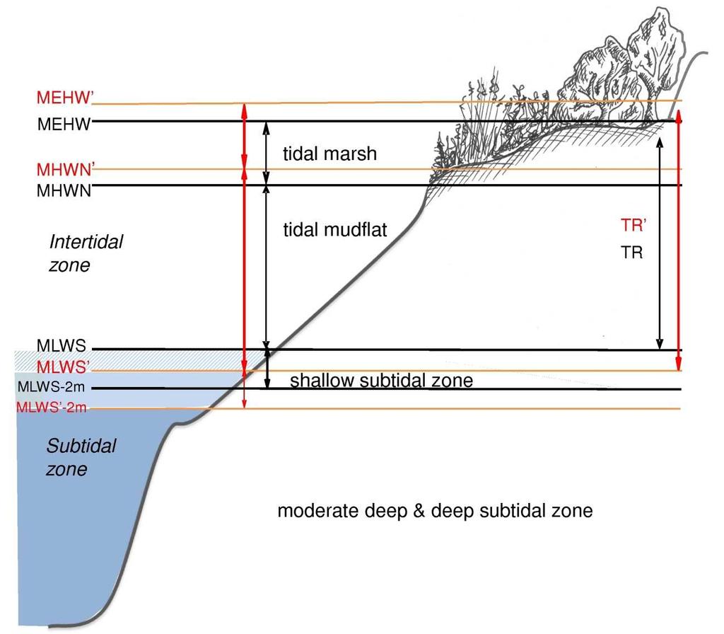 With numerical models portraying the current topography and bathymetry serving as a baseline, past modifications are schematically cancelled or undone.