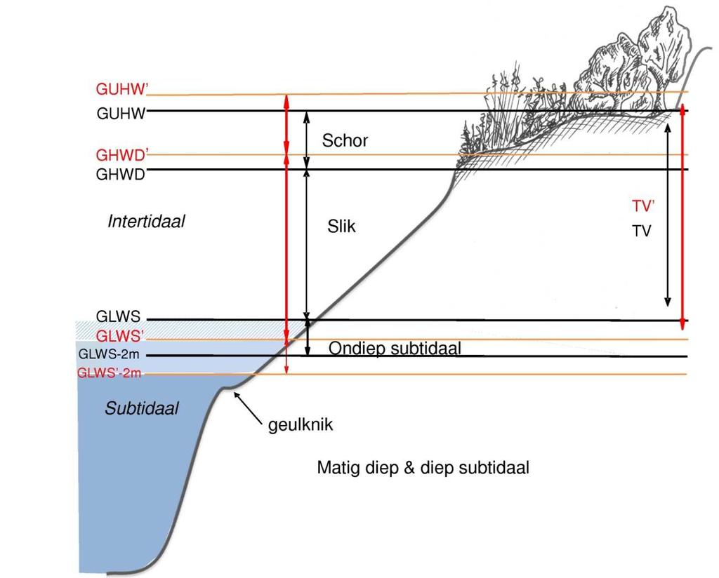 Figuur 0.1 - Estuariene habitats en toename van het tijverschil (GLWS: gemiddeld laagwater bij springtij; GHWD: gemiddeld hoogwater bij doodtij. GUHW: gemiddeld uitzonderlijk hoogwater).