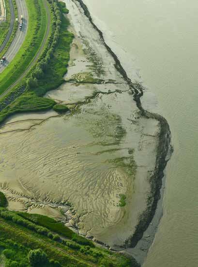 Luchtfoto van het slik- en schorgebied van Ketenisse met daarop: breuksteengordel, laag tot hoog slik en jong en oud schor.