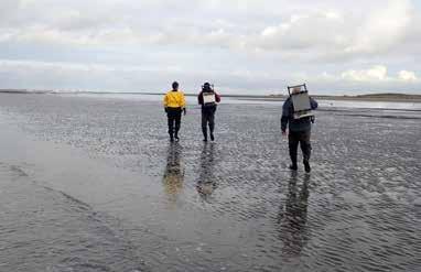 Daarnaast speelt de zeespiegelstijging een belangrijke rol.