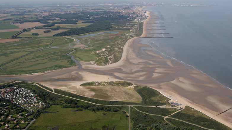 ONDERZOEK EN MONITORING 5 Scheldemonding Dafgelopen jaren is meer zicht verkregen in de interactie tussen de Scheldemonding en de rest van het estuarium, alsmede in het effect van menselijke ingrepen