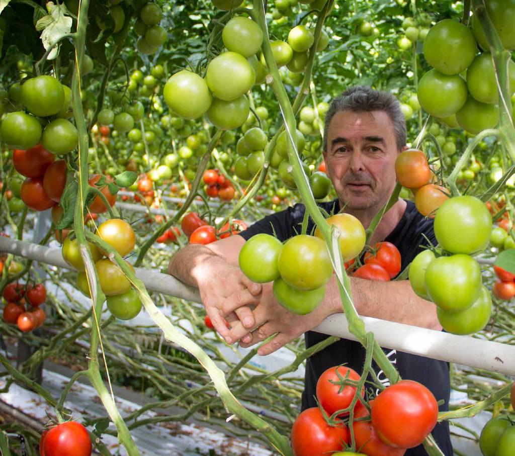 Vergroten van grip op kas en gewas Ridder Synopta Synopta is al decennia hét toonaangevende bedienings- en informatiesysteem voor de tuinbouw.