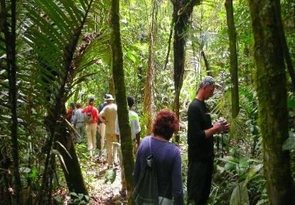 DAG 6 Maandag 18 November 2019 Awarradam Tour U vertrekt vanaf het lokale vliegveld Zorg & Hoop in Paramaribo naar de airstrip van Kajana, op ongeveer 55 minuten vliegen ten zuiden van Paramaribo.