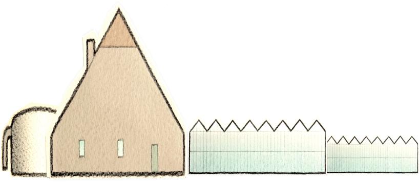 Centrale vraagstelling Moet de landbouw (primaire sector) in Nederland in de toekomst ruimte worden gegeven voor verdere ontwikkeling en zo ja, op welke wijze?