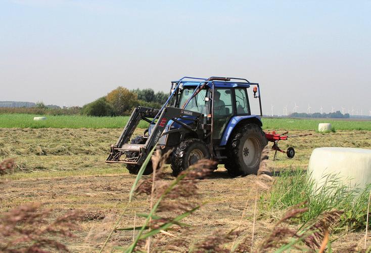 ecologische effectiviteit 6 Een uitgestelde maaidatum is een belangrijke voorwaarde bij het behoud van weidevogels.