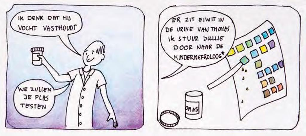 Hoe wordt de achterliggende reden (de vorm) van NS uitgezocht? In de meeste gevallen onderzoekt een huisarts alleen de urine, soms ook het bloed.