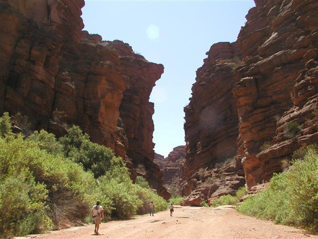 De bekende natuurparken Ischigualasto en Talampaya zijn hier twee van.