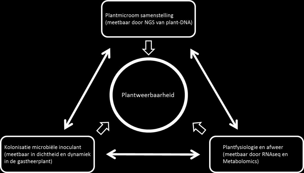 Versterking van plantweerbaarheid tegen ziekten