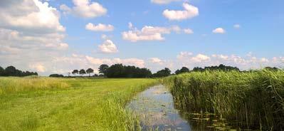 Ook in Nederland liggen zulke natuurgebieden. Het is belangrijk om deze natuurgebieden te beschermen.