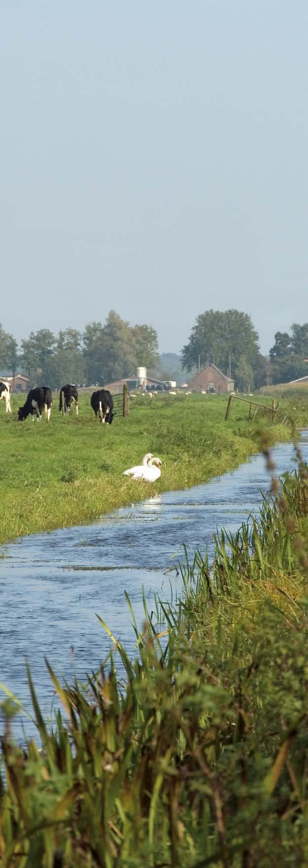 Regionale verschillen in de Zandregio De nitraatconcentratie is ook verschillend tussen de drie gebieden in de Zandregio.