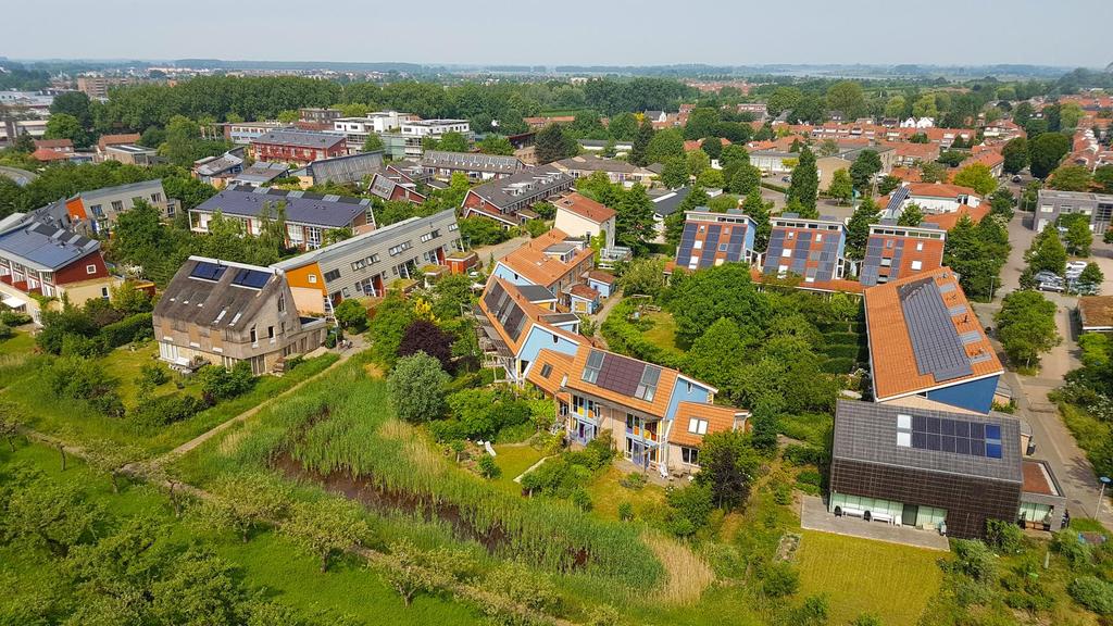 GROEN-BLAUWE DOORADERING