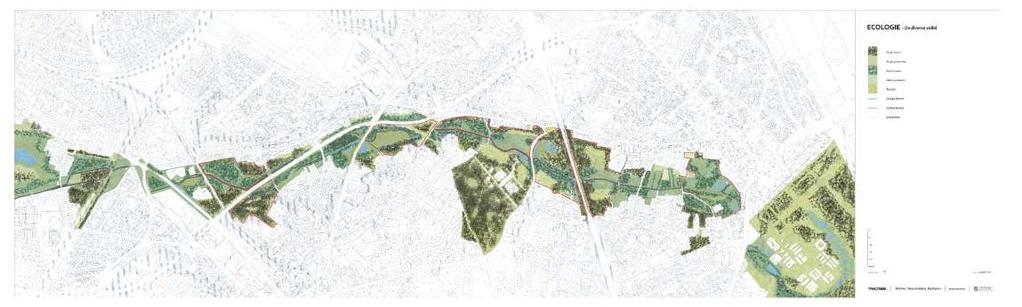 Strategie 1: de diverse vallei Zet in op het creëren van een divers landschapsbeeld door stimuleren van de ontwikkeling van open (graslanden/heides) en besloten (bossen) ecotypes doorheen de