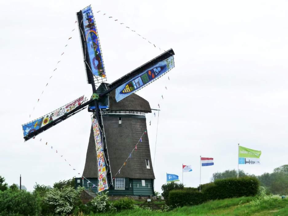 In de hoogtijdagen van de windmolenindustrie, eind 19 de eeuw, telde Nederland ruim 10.000 molens. Het waren werktuigen die Nederland voorzagen van o.a. gezaagd hout, meel, olie, veevoer, pigmenten en nieuw land.