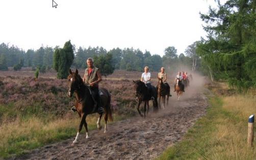 Carola, ik zijn met onze mannen een dagje aan het toeren geweest om te kijken wat een geschikte plek zou zijn om met onze club heen te gaan. Soms ziet iets er op internet leuker uit dan in het echt.