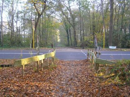 Dit advies is mede gebaseerd op de mogelijkheden die de terrein- en wegbeheerders hebben benoemd.