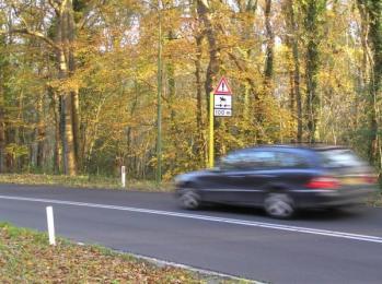 combinatie met het plaatsen van waarschuwingsborden voor zowel automobilisten als fietsers en ruiters (en wandelaars).