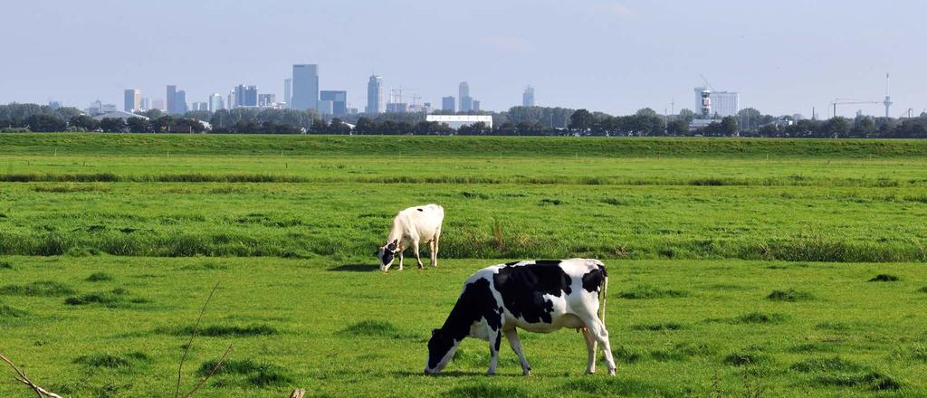 Rapportage per gebied Holland Rijnland Akkoorden: Alphen aan den Rijn Hillegom Kaag en Braassem Katwijk Leiden Leiderdorp Lisse Nieuwkoop Oegstgeest Teylingen Voorschoten Zoeterwoude Duin- en