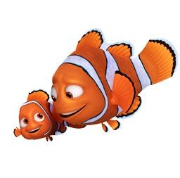 Dit komen we allemaal te weten aan de hand van leuke spelletjes. Nemo is verdwenen. Waar zou hij nu toch zitten?