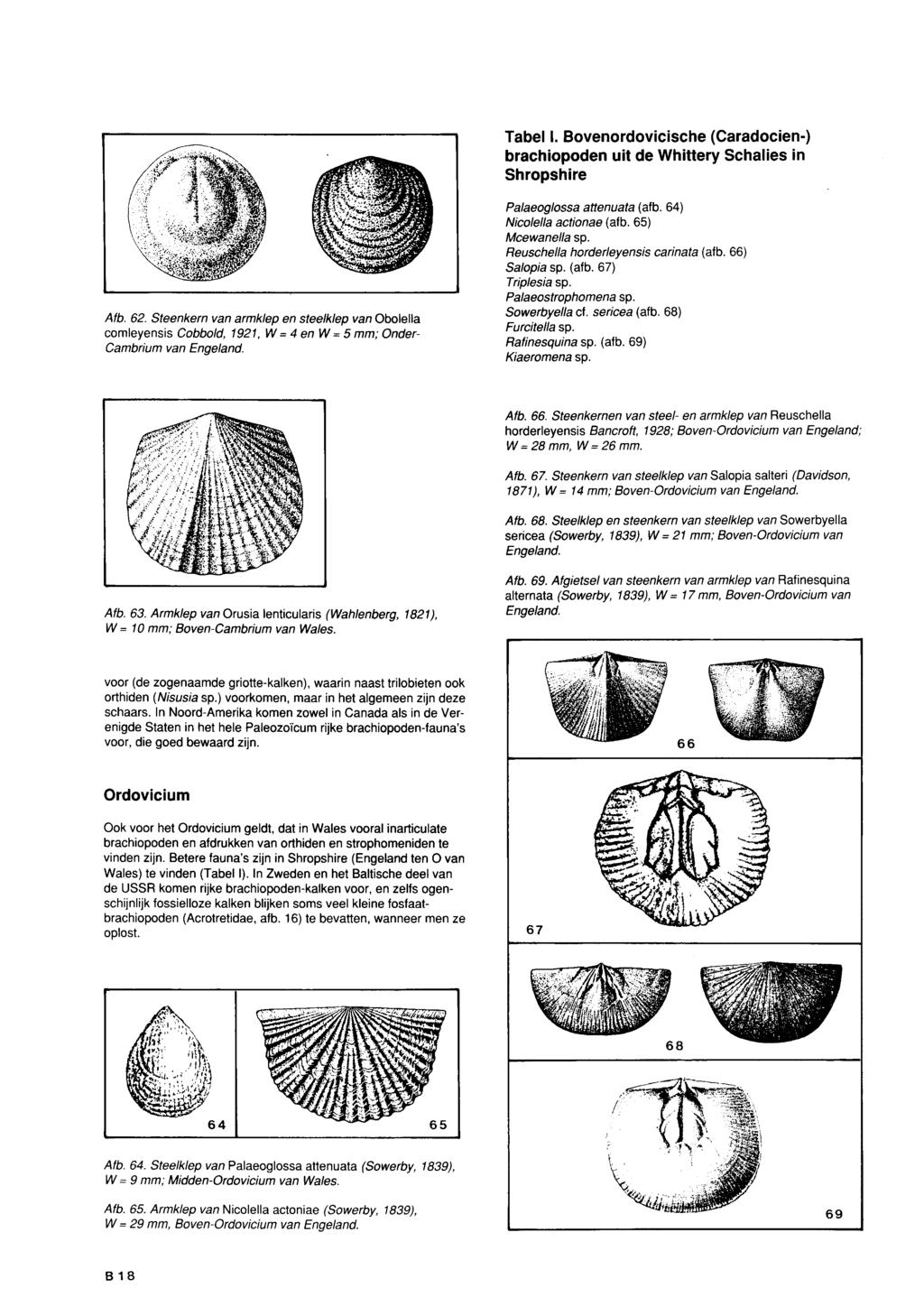 Tabel I. Bovenordovicische (Caradocien-) brachiopoden uit de Whittery Schalies in Shropshire Afb. 62.
