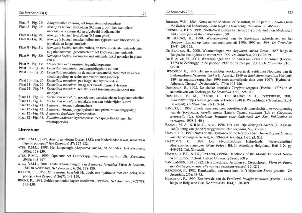 D De Strandvlo 23(3) 122 Plaat 7 - Fig. 27: Bougainvillea ramosa, net losgelaten hydromeduse Plaat 8 - Fig.