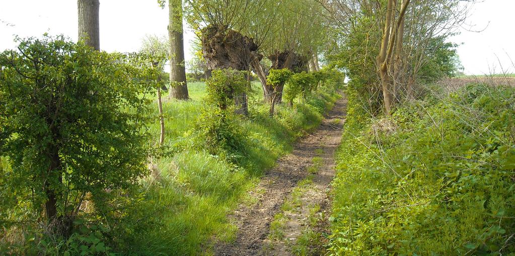 De landbouw is ontegensprekelijk belangrijkste drager van dit landschap. Maar liefst twee r van niet bebouw oppervlakte is in geregistreerd landbouwgebruik.