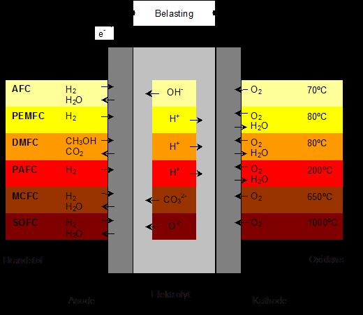 Elke cel bezit een separator (elektrolyt of membraan) die selectief geladen deeltjes (ionen) doorlaat van de ene naar de andere elektrode, maar ondoordringbaar is voor elektronen.