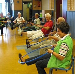 Onder deskundige begeleiding worden sport en speloefeningen vanuit de (rol-) stoel gedaan om uw conditie en spieren te trainen.