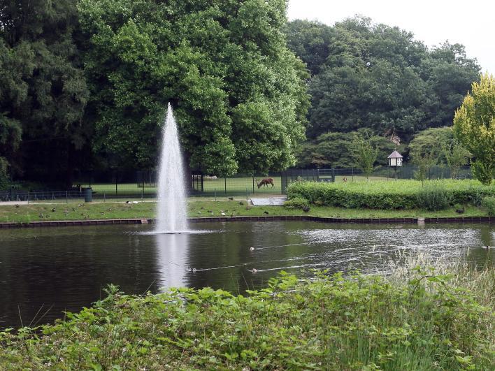 16 Rogmanspark Hofstraat Dit stadspark grenst aan de Gravenallee en is vernoemd naar P.M. Rogmans, rentmeester van Huize Almelo.