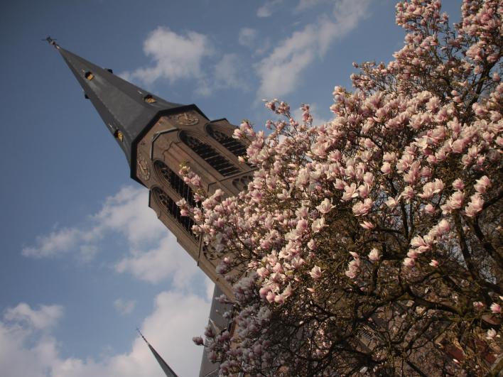 8 Zicht op de kerk Sluiskade Zuidzijde De zijstraten langs het kanaal bieden een prachtige blik op de toren van de St.