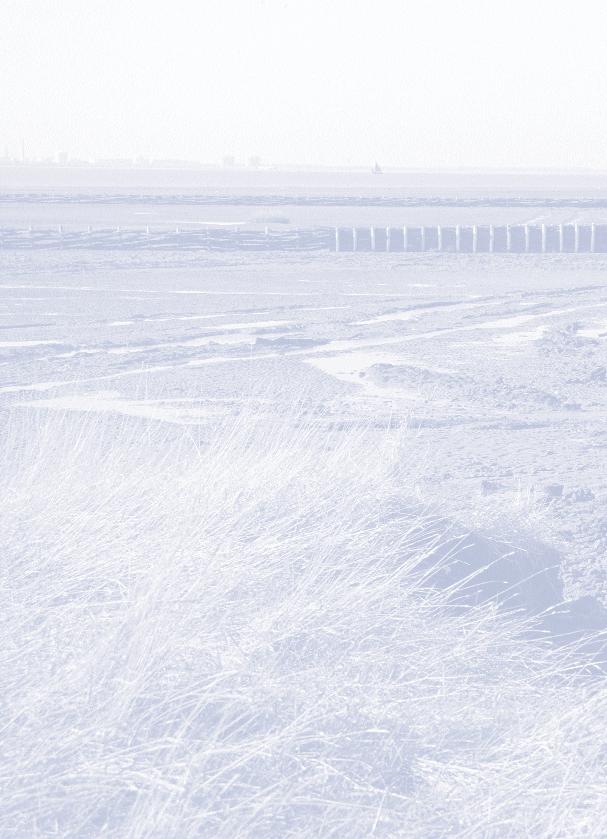 Minister stelt Natuurcompensatieprogramma Westerschelde vast Ter uitvoering van het verdrag tot verruiming van de vaarweg Westerschelde heeft de Nederlandse overheid de verplichting een