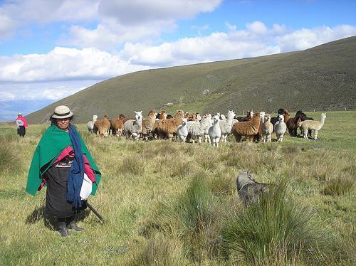 Dag 8: Riobamba - Cuenca (B-L-D)(300 De wekelijkse markt van Guamote is zonder twijfel de meest authentieke van het land.