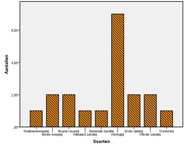 Aantal soorten bijen 3.2 Bijensoorten 6 Aanwezigheid van bijen 5 4 3 2 Wijk Dijk 1 0 1 2 3 4 5 6 7 8 9 10 Metingen Figuur 3.