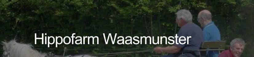 48 goede voorbeelden EXTERN NETWERK Hippofarm (Paardrijden, VE, Waasmunster) is een beginnende club. In 2018 moesten ze voor de eerste keer subsidies aanvragen.