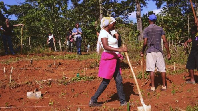 greenschoolhaiti.