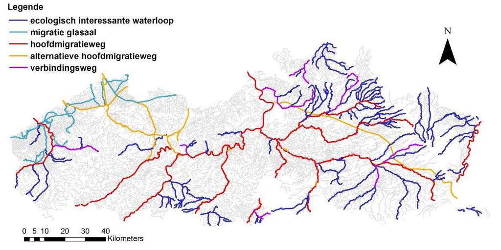 De prioriteit bij het scenario scheiden is het ontsnipperen van deelbekkens met een hoge natuurbehoudswaarde (zie deel 1). De focus ligt op het herstel van soorten uit de potadrome groep.